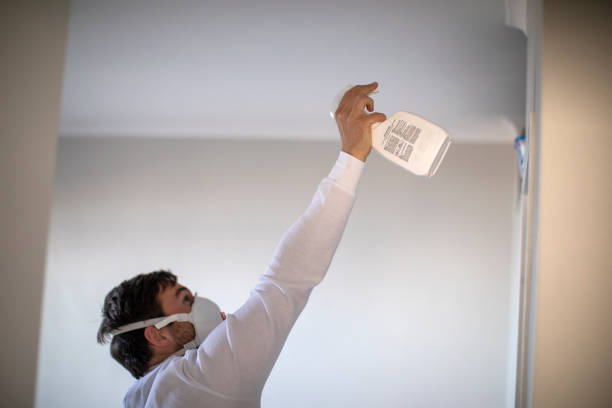 Attic Mold Removal in Washingtonville, NY