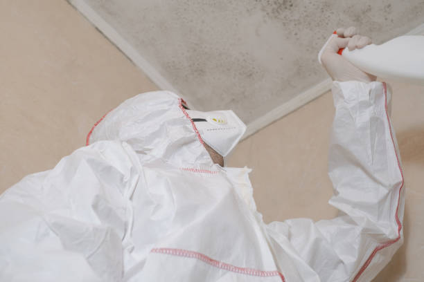 Best Mold Remediation  in Washingtonville, NY