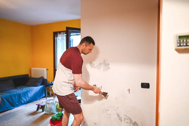 Best Toxic Mold Removal  in Washingtonville, NY