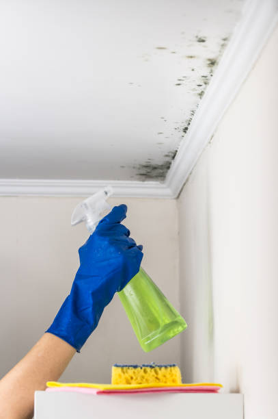 Crawl Space Mold Removal in Washingtonville, NY